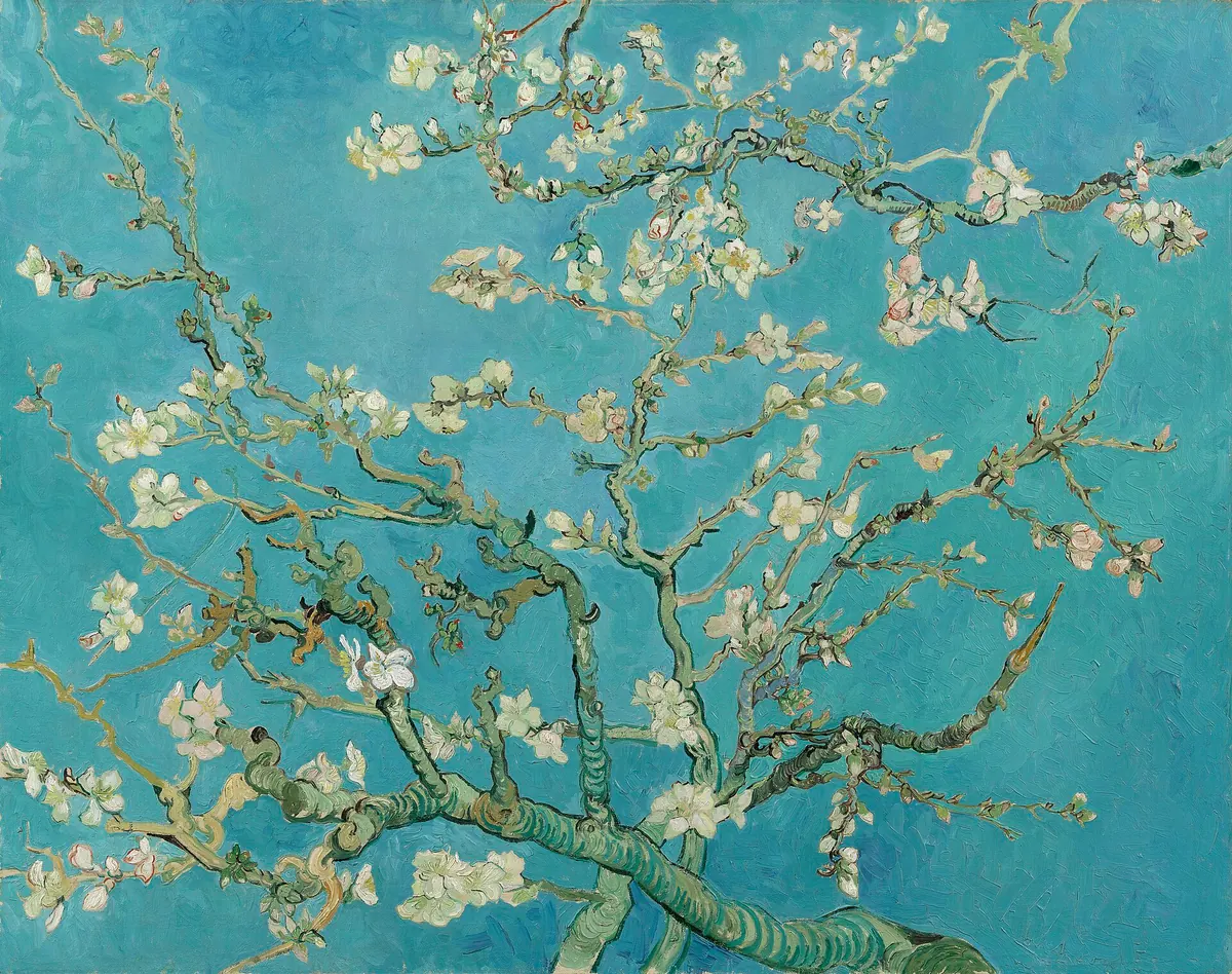 ゴッホ《花咲くアーモンドの木の枝》。青緑の空を背景に、白い花をつけた枝が広がっている
