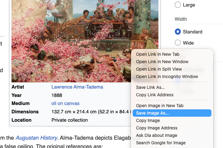 A browser showing the Save Image As command for an artwork image