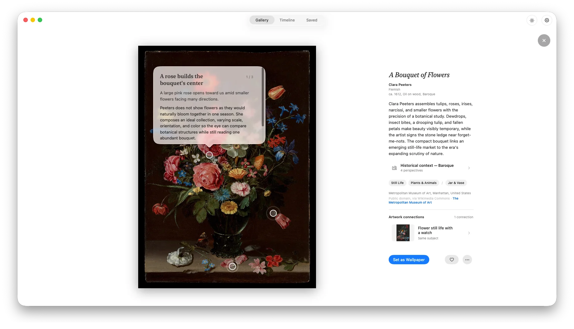 Art4 showing guide markers and artwork details for A Bouquet of Flowers by Clara Peeters